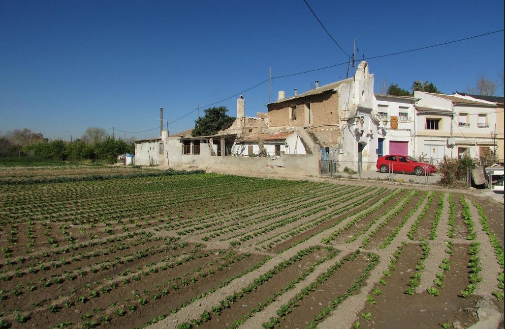 Huerto en producción junto a la ermita de la Escudera